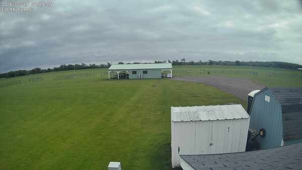 Parking Camera