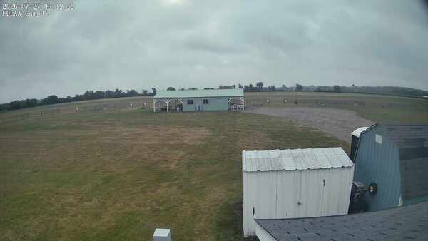 Parking Camera