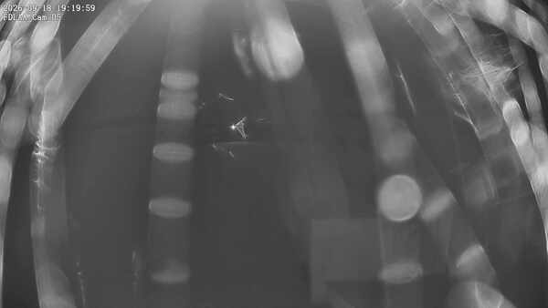 Parking Camera