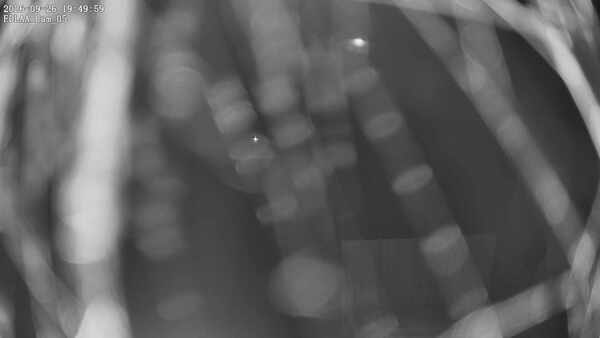 Parking Camera
