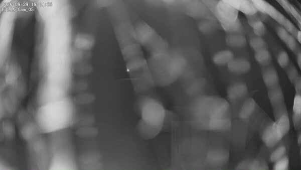 Parking Camera