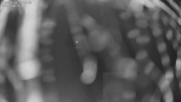 Parking Camera