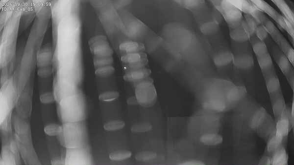 Parking Camera