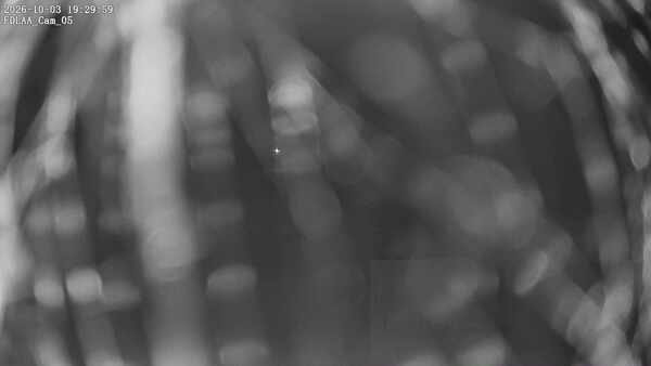 Parking Camera