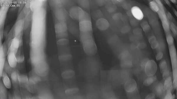 Parking Camera