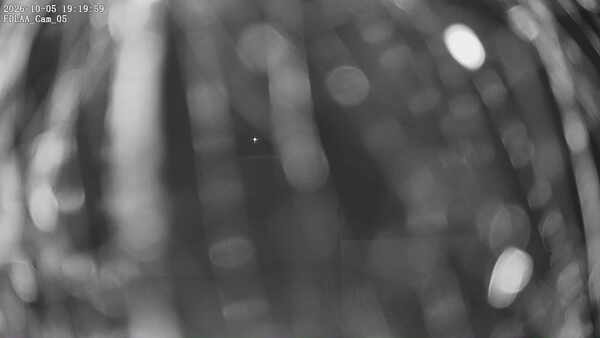 Parking Camera