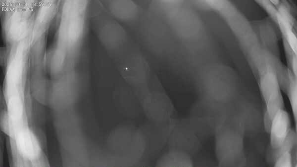 Parking Camera