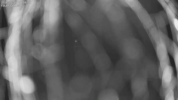 Parking Camera