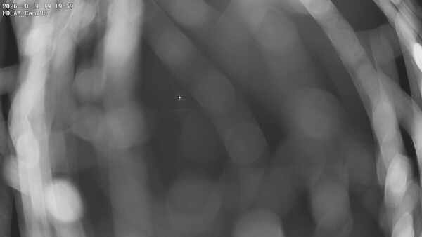 Parking Camera