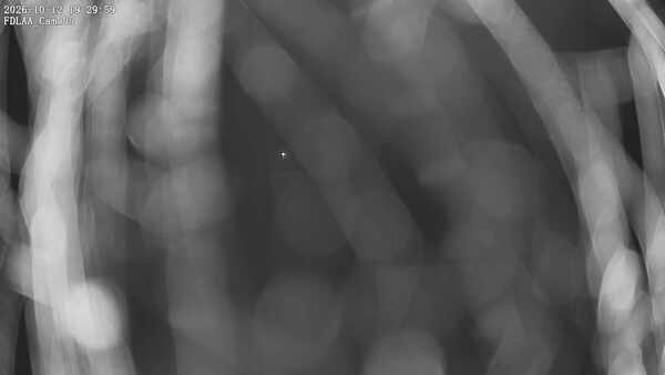 Parking Camera