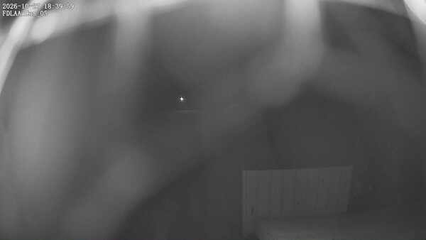 Parking Camera