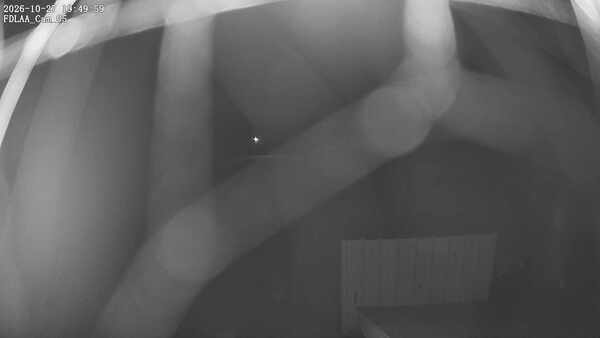 Parking Camera