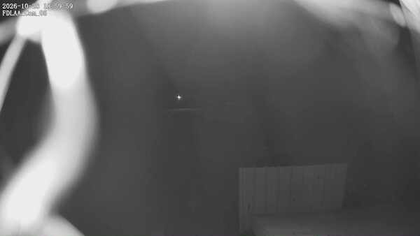 Parking Camera