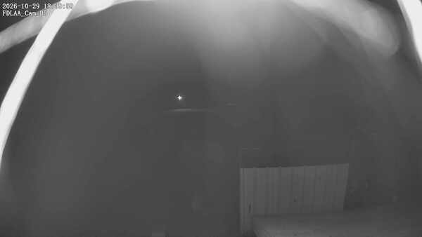 Parking Camera