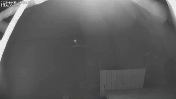 Parking Camera