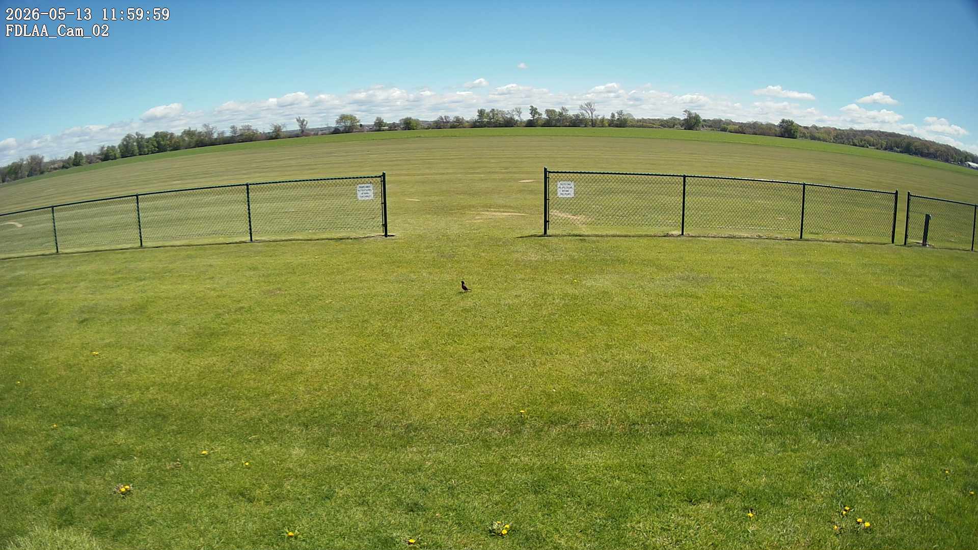 East Camera