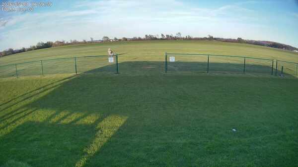 East Camera